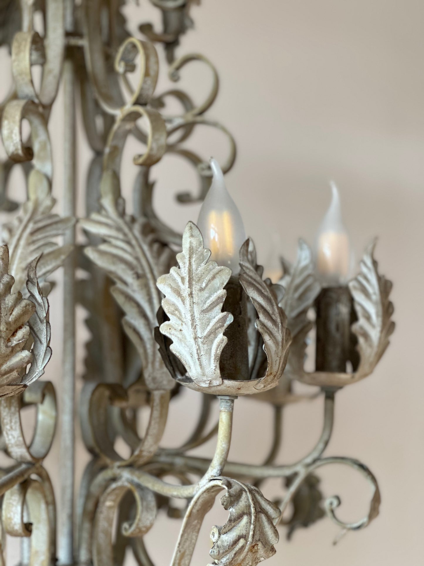 Volutes et feuillages