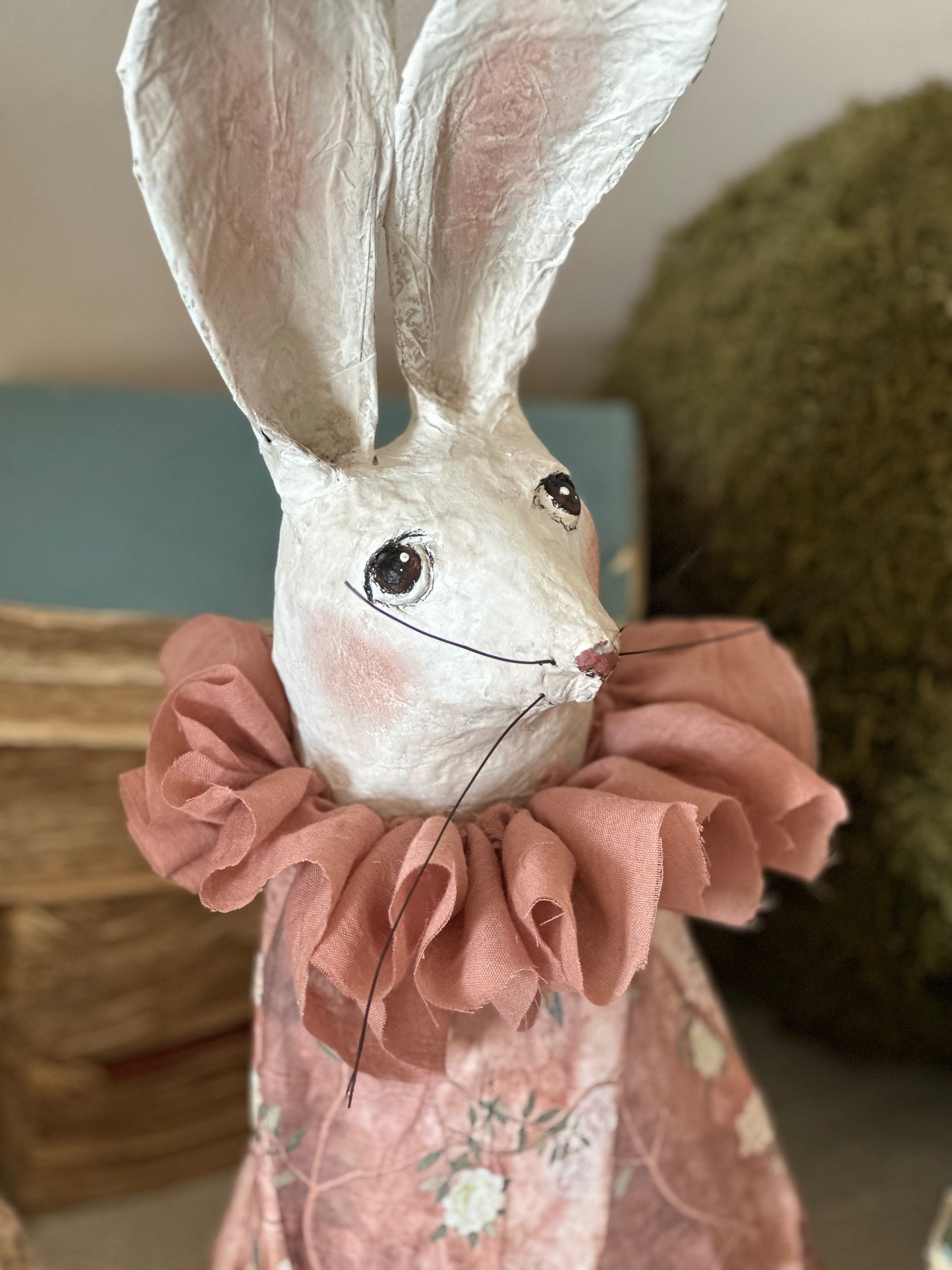 Lapin blanc