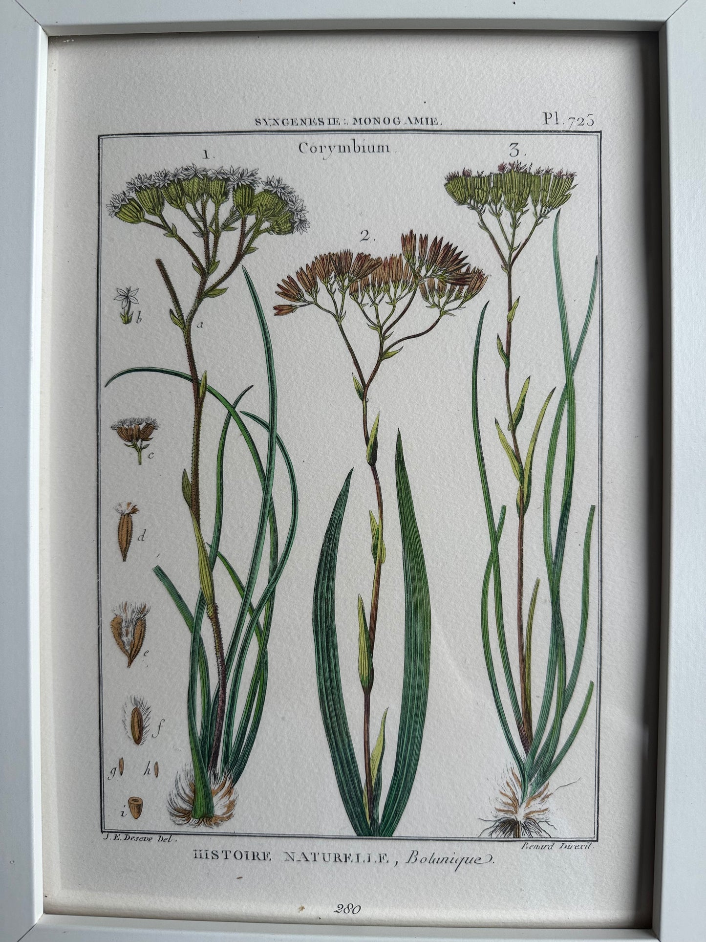 Planche encadrée