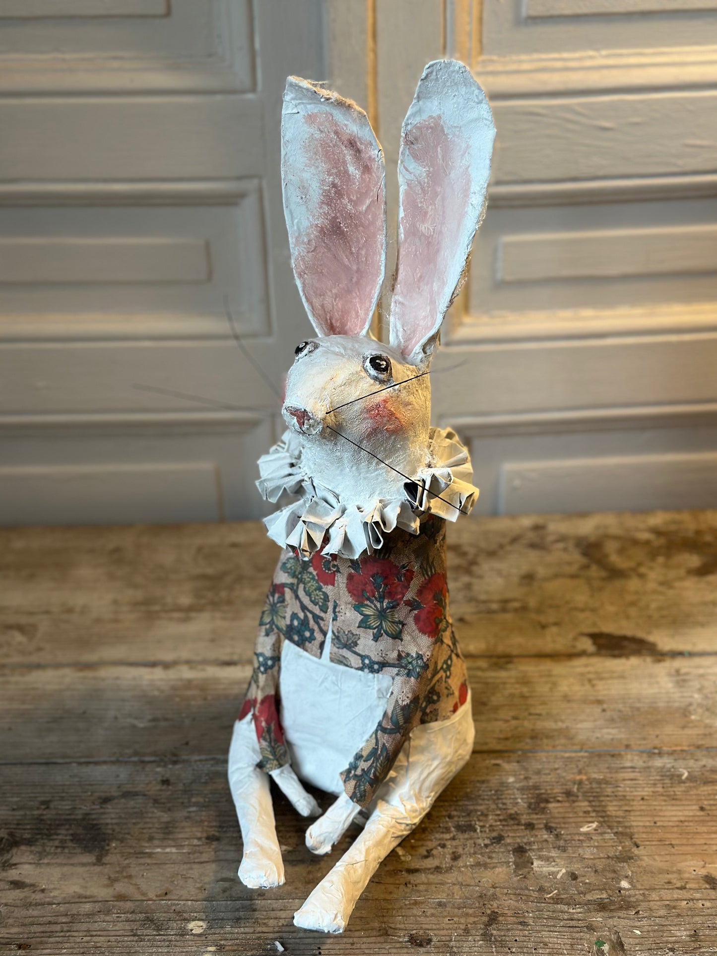Lapin à collerette