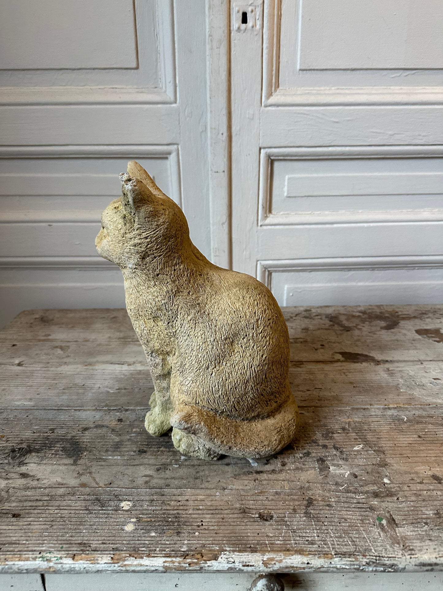 Chat en pierre
