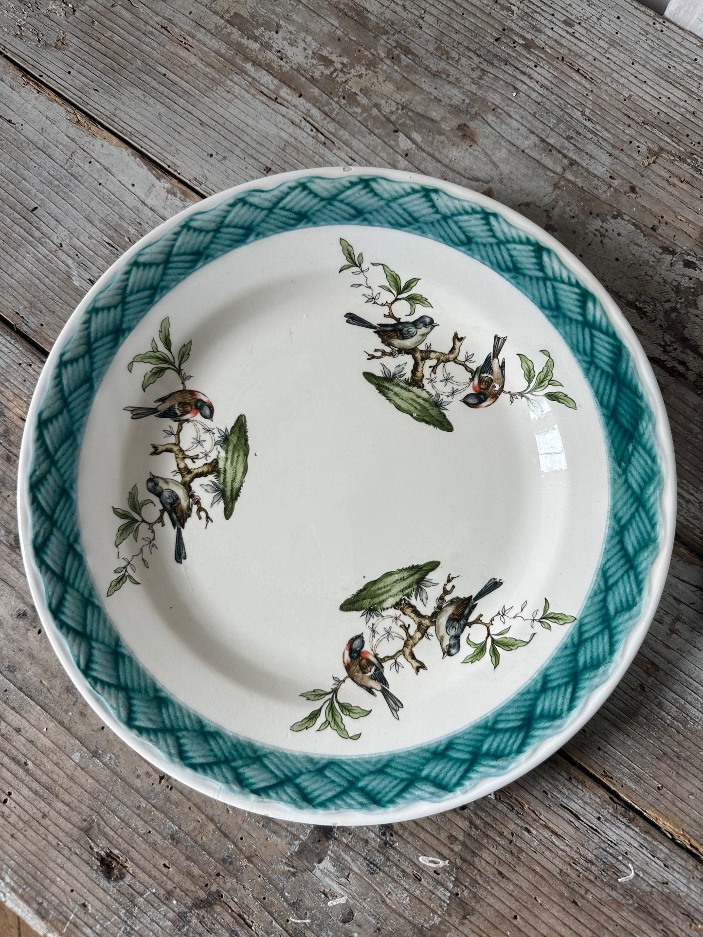 Faïence aux oiseaux