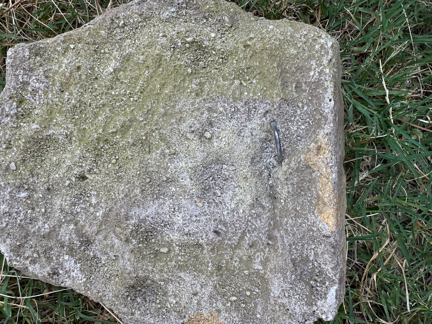 Tête au drapé