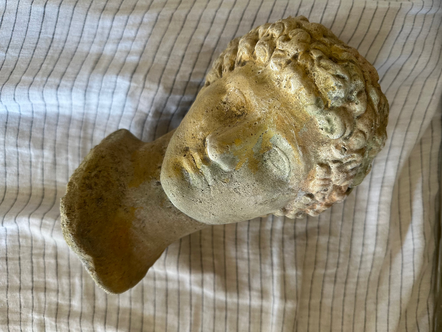 Tête d’apollon