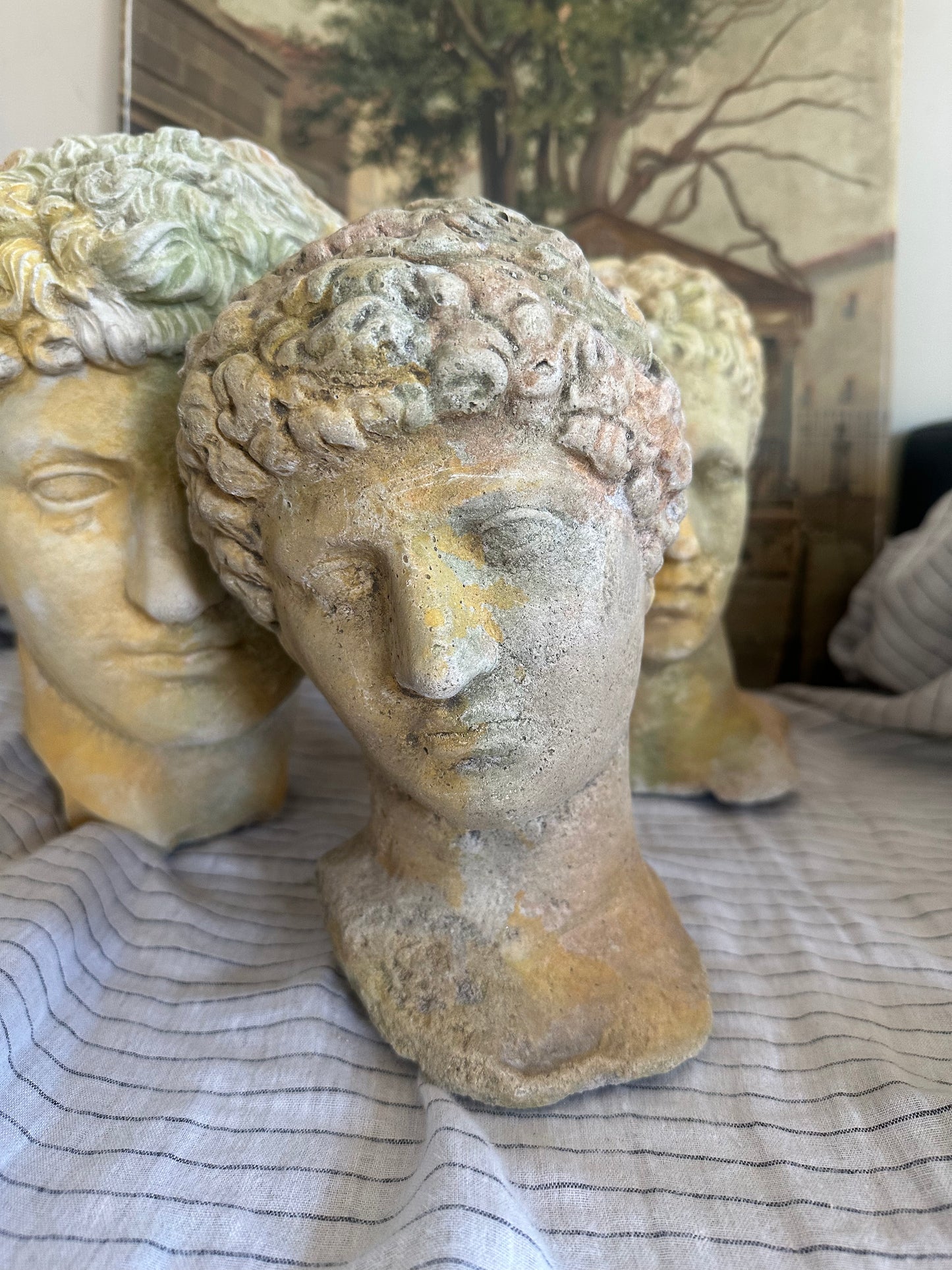 Tête d’apollon