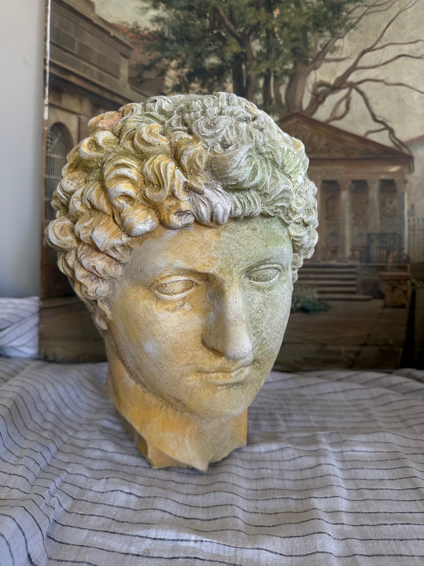 Tête d’apollon