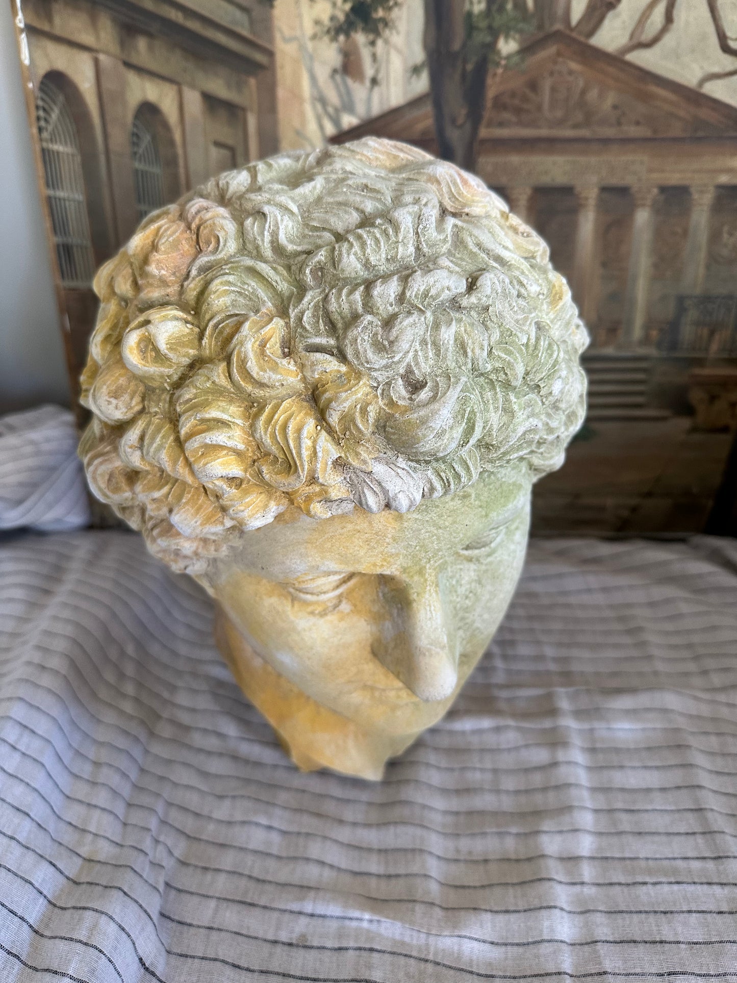 Tête d’apollon
