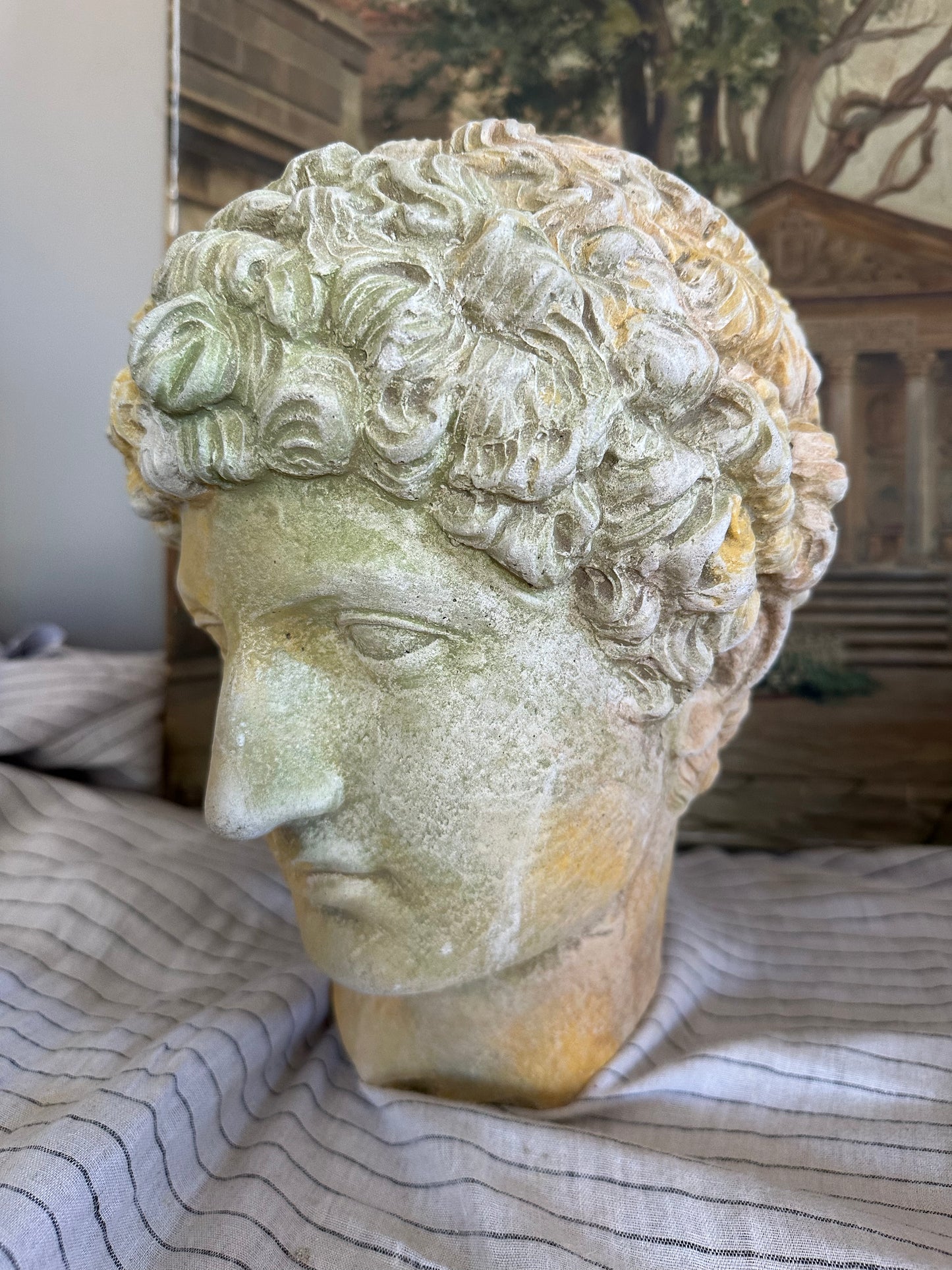 Tête d’apollon