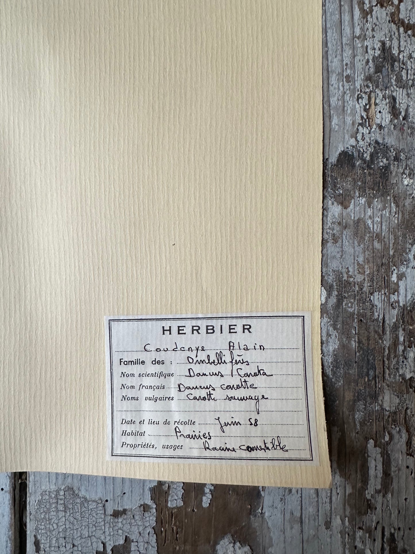 Herbier