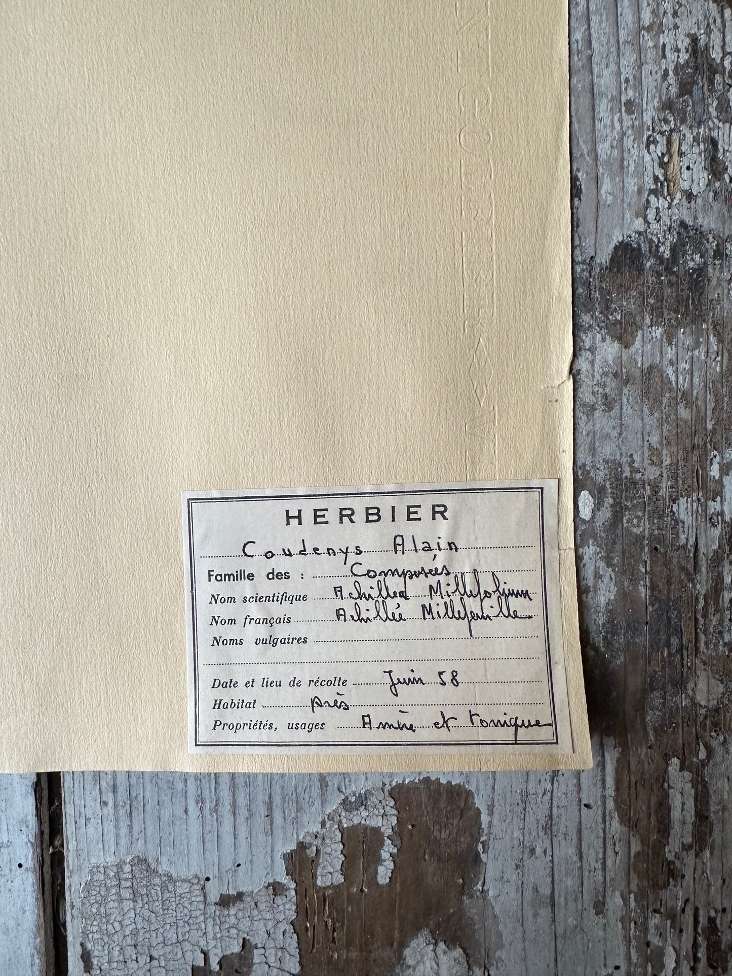 Herbier