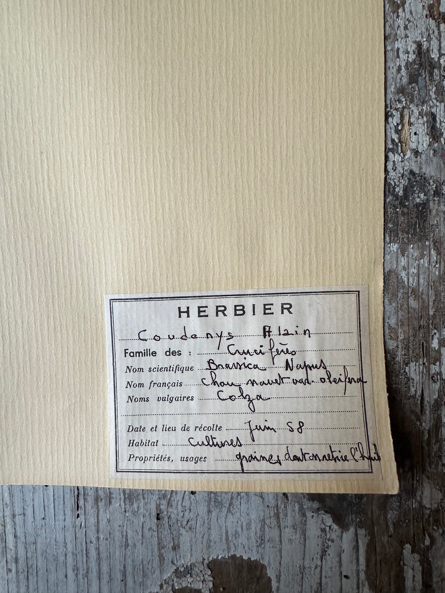 Herbier