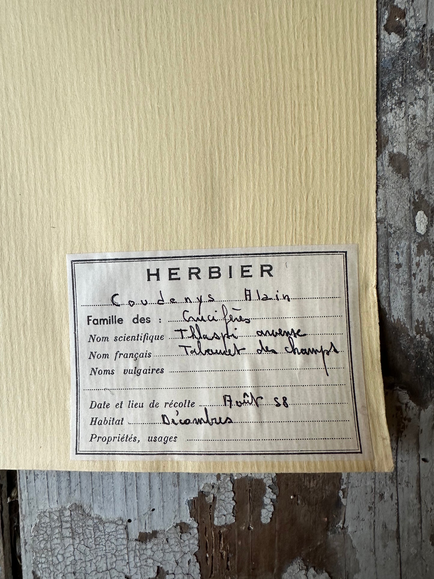 Herbier