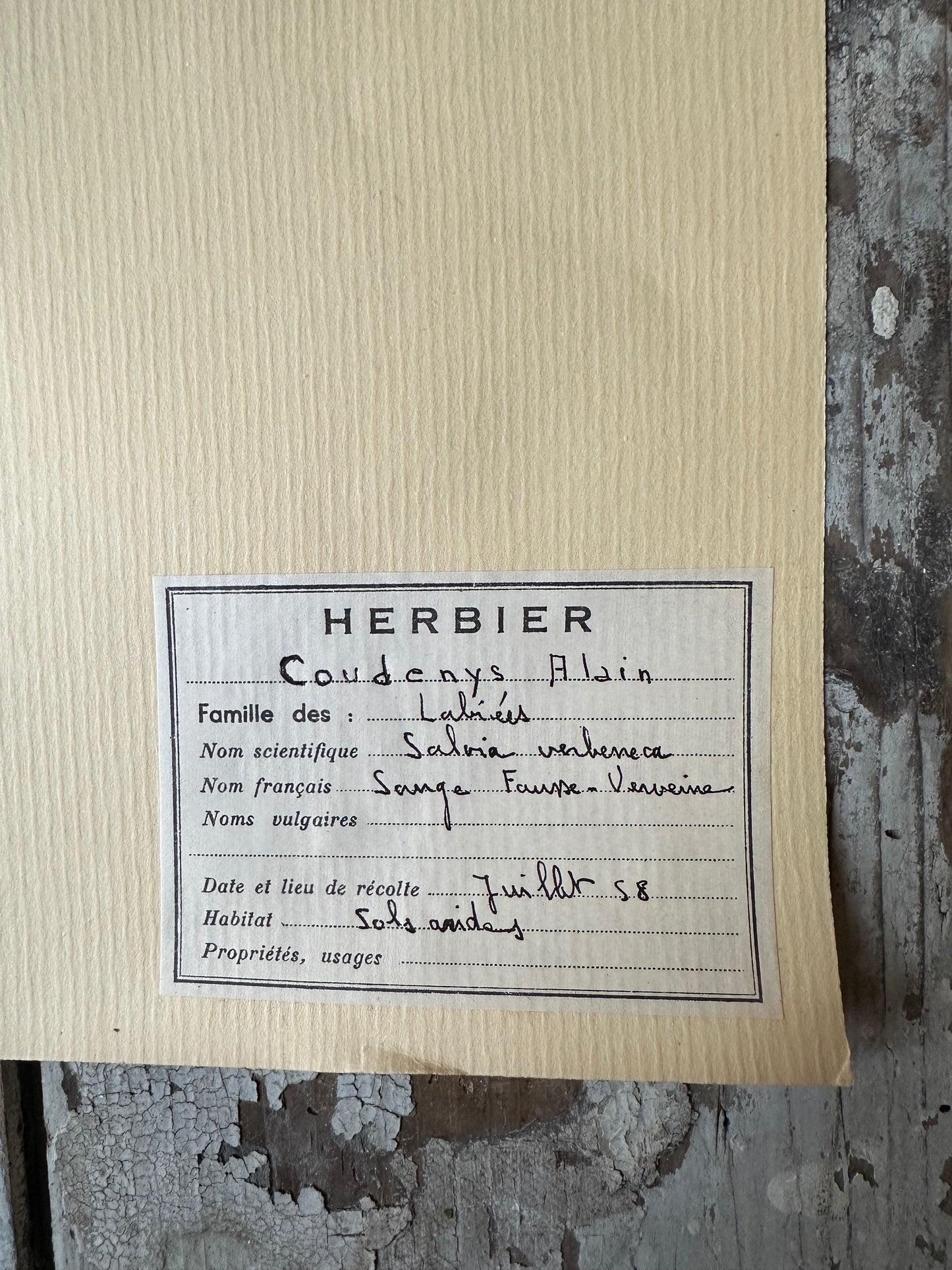 Herbier