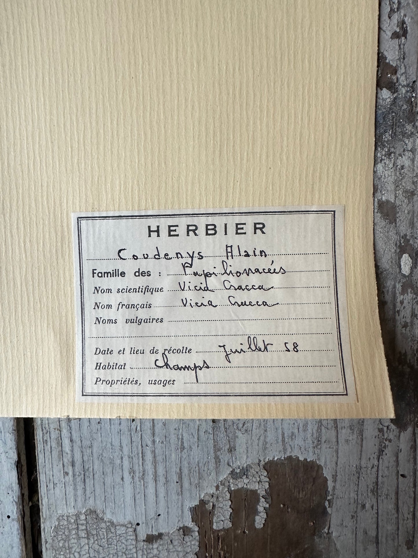 Herbier