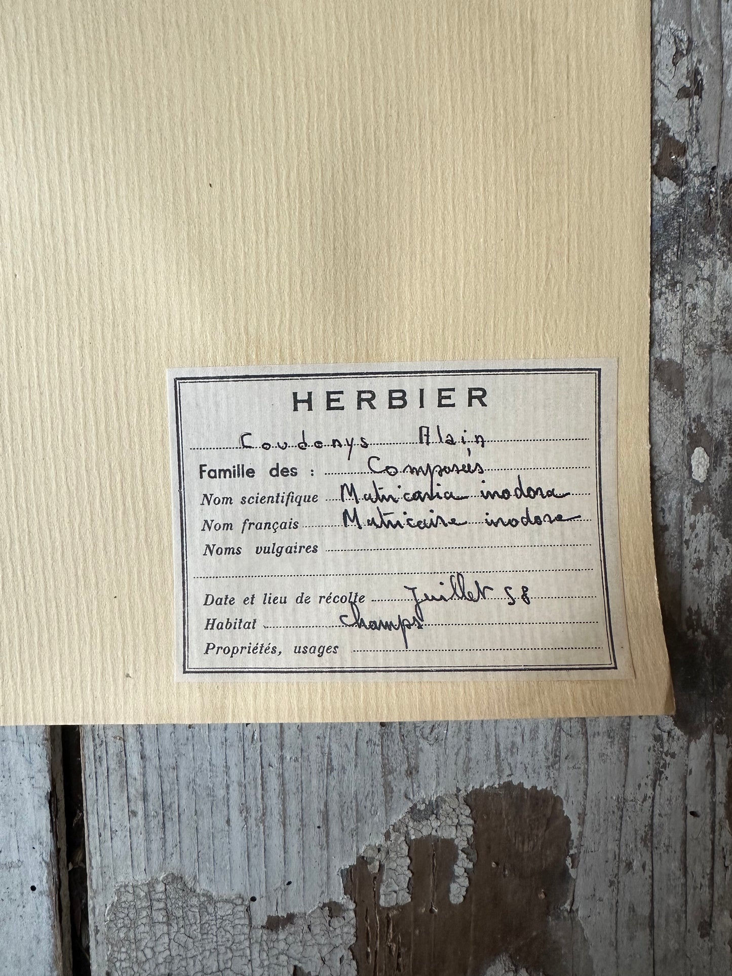 Herbier