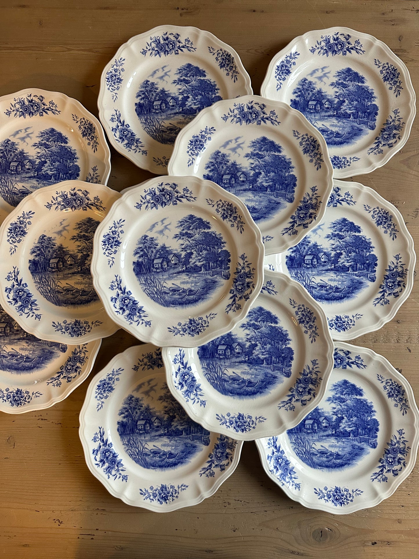 12 assiettes plates