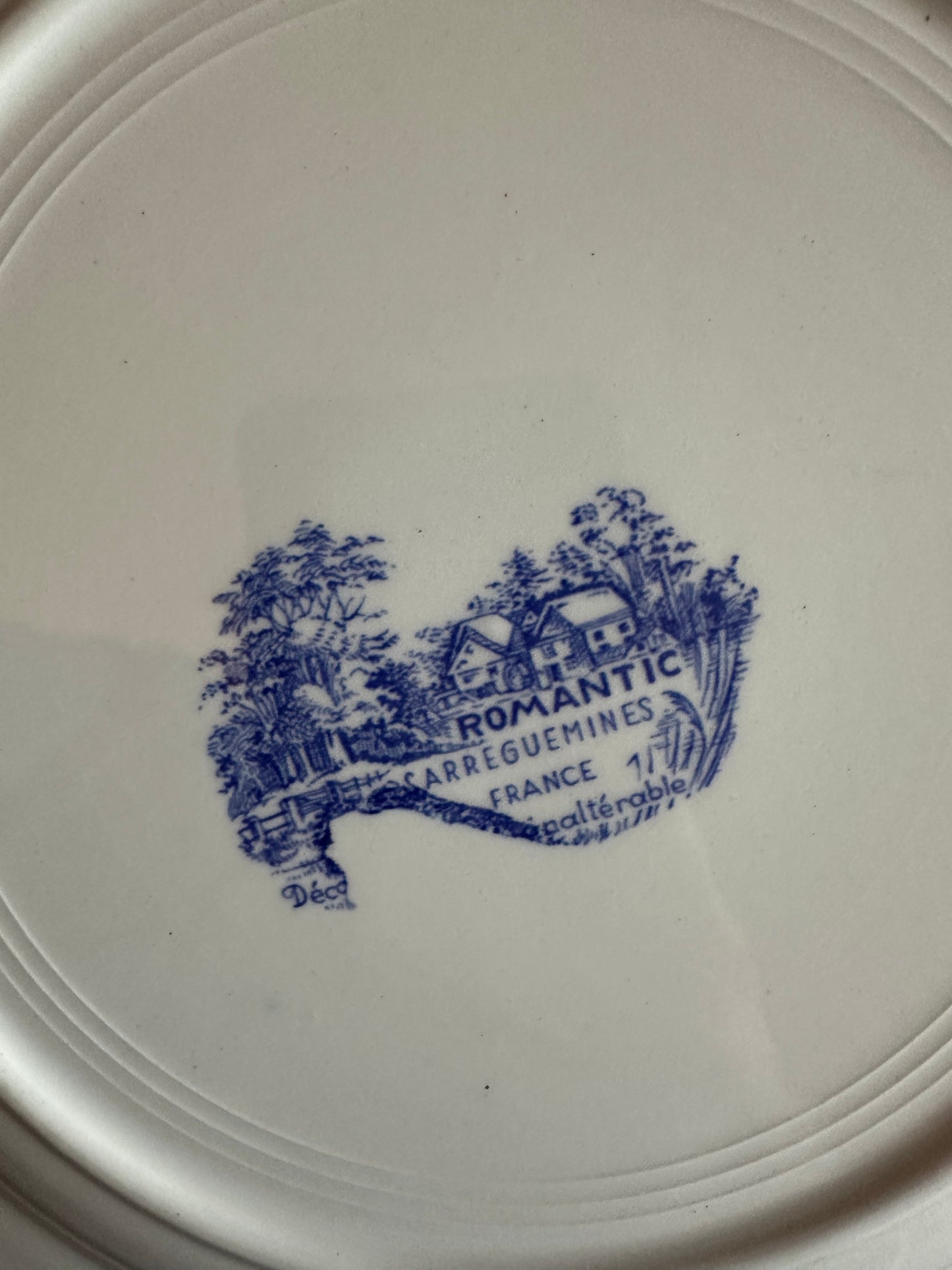 12 assiettes plates