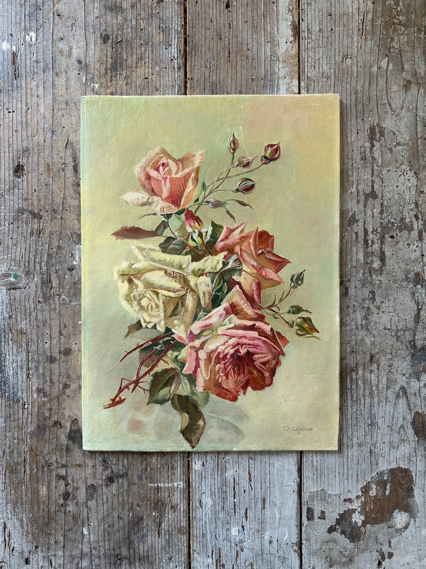 Roses