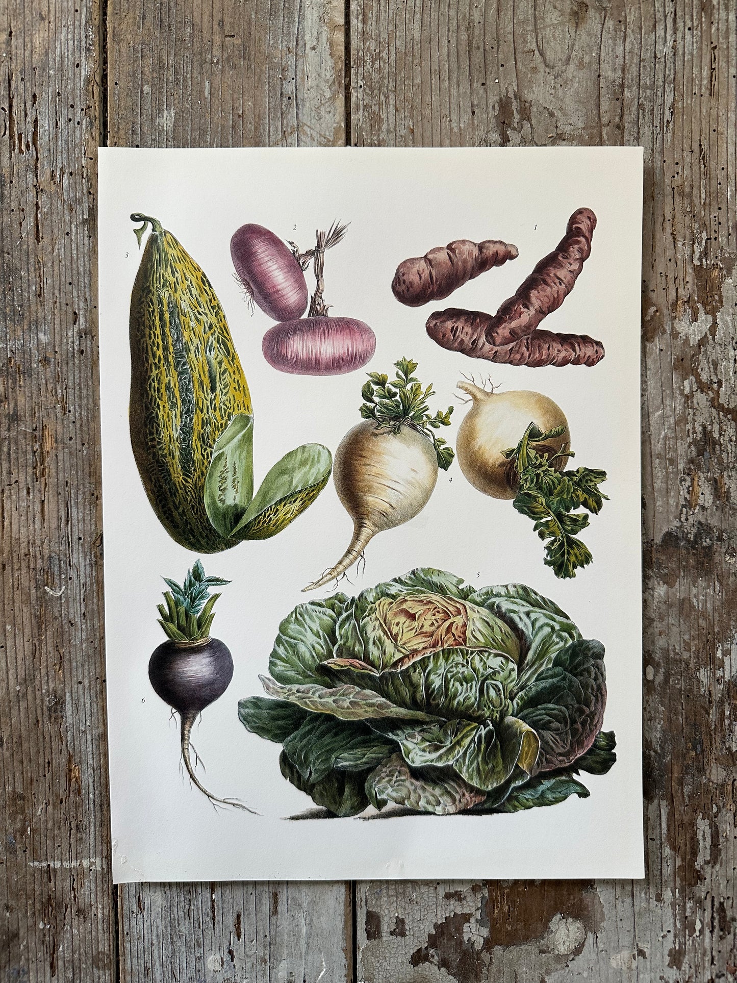 Planche légumes