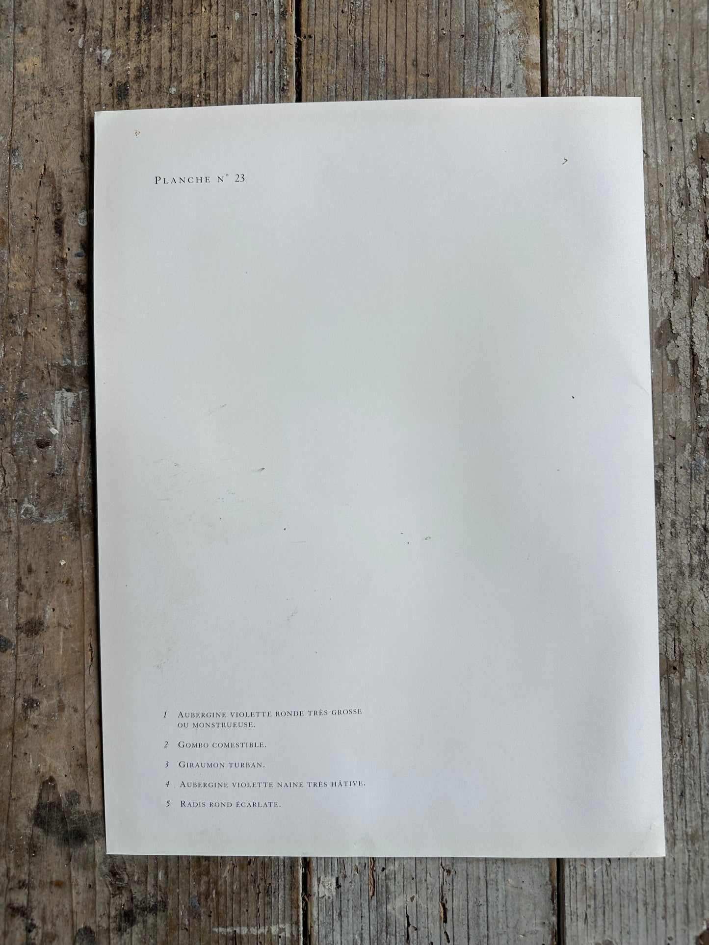 Planche légumes