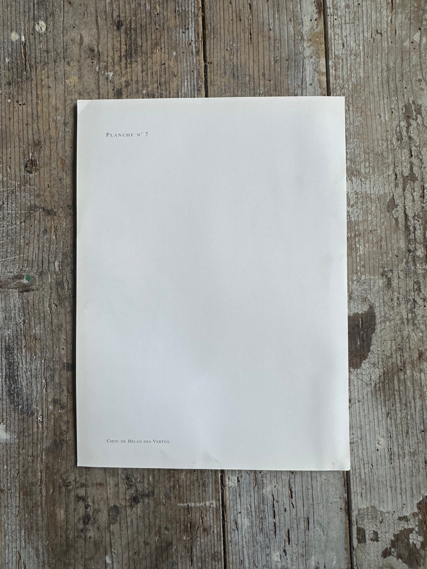 Planche légumes