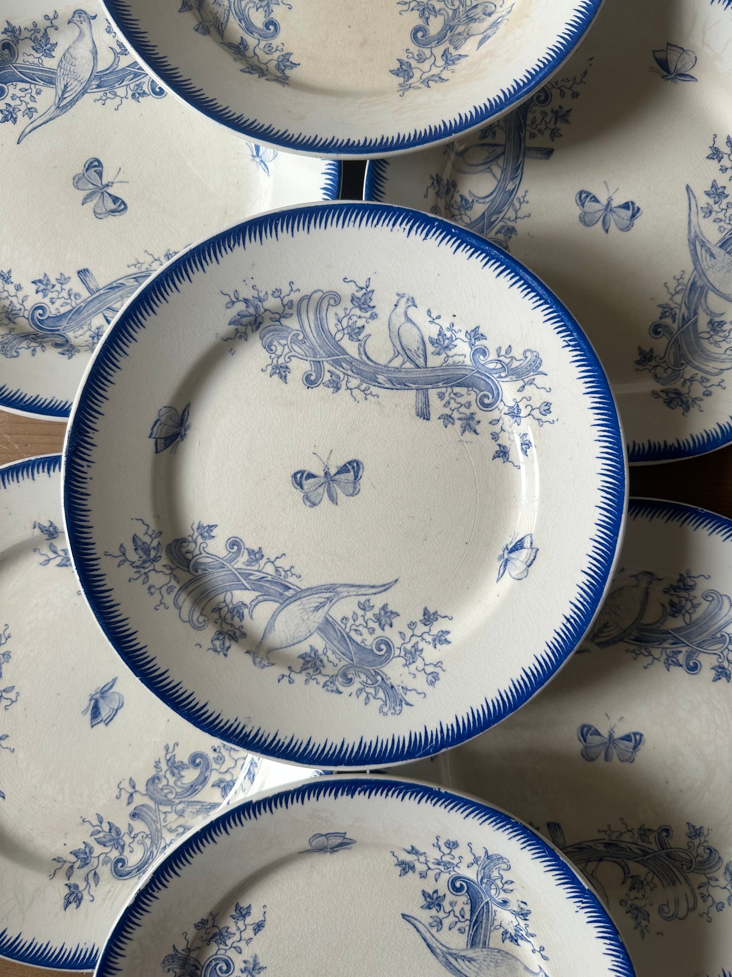 Assiettes aux papillons