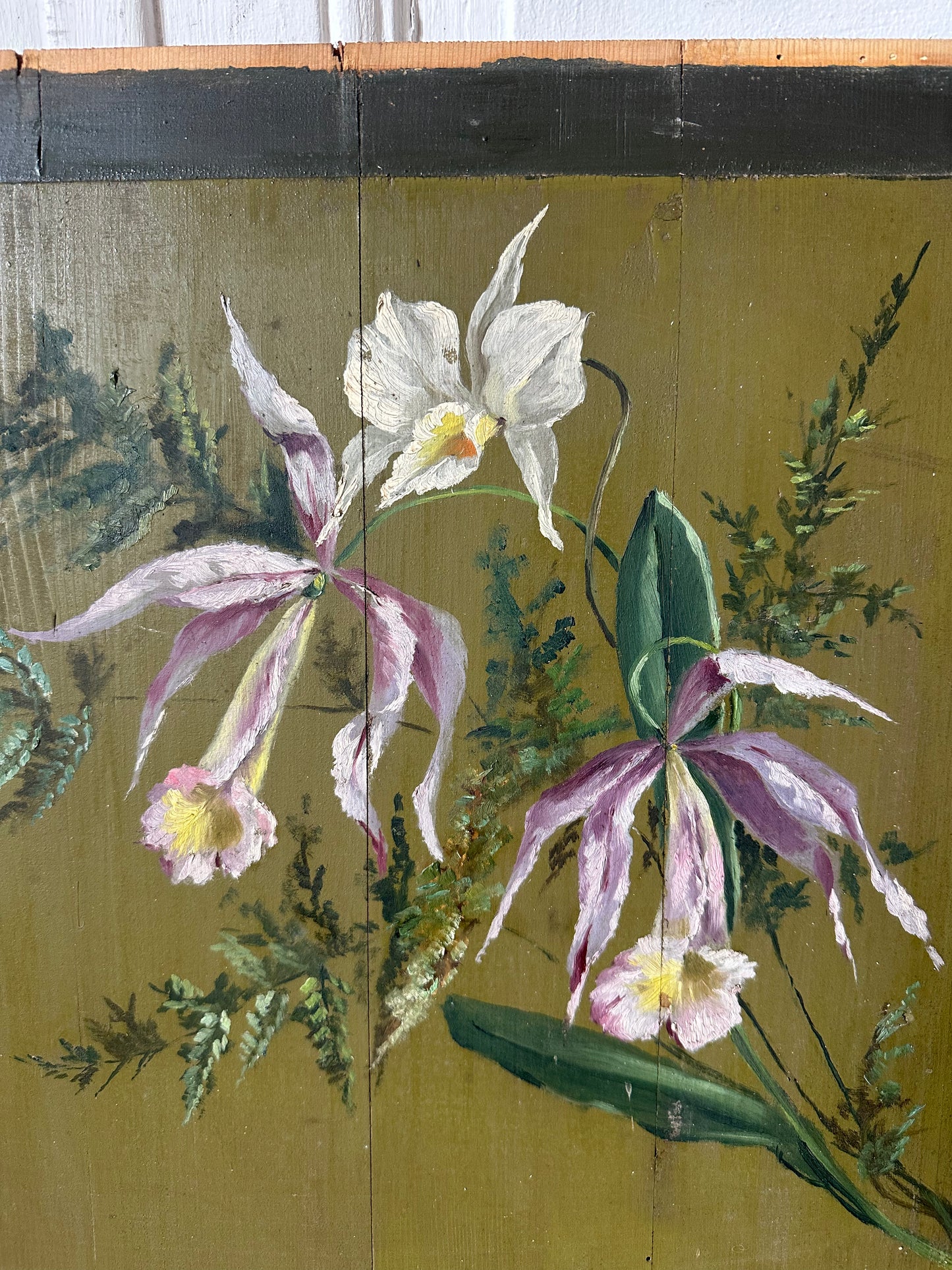 Orchidée