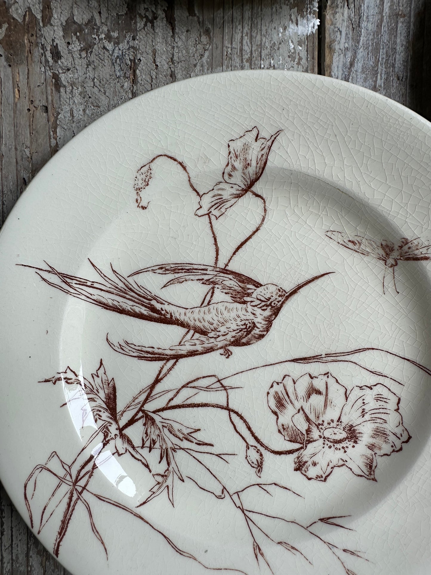Les oiseaux