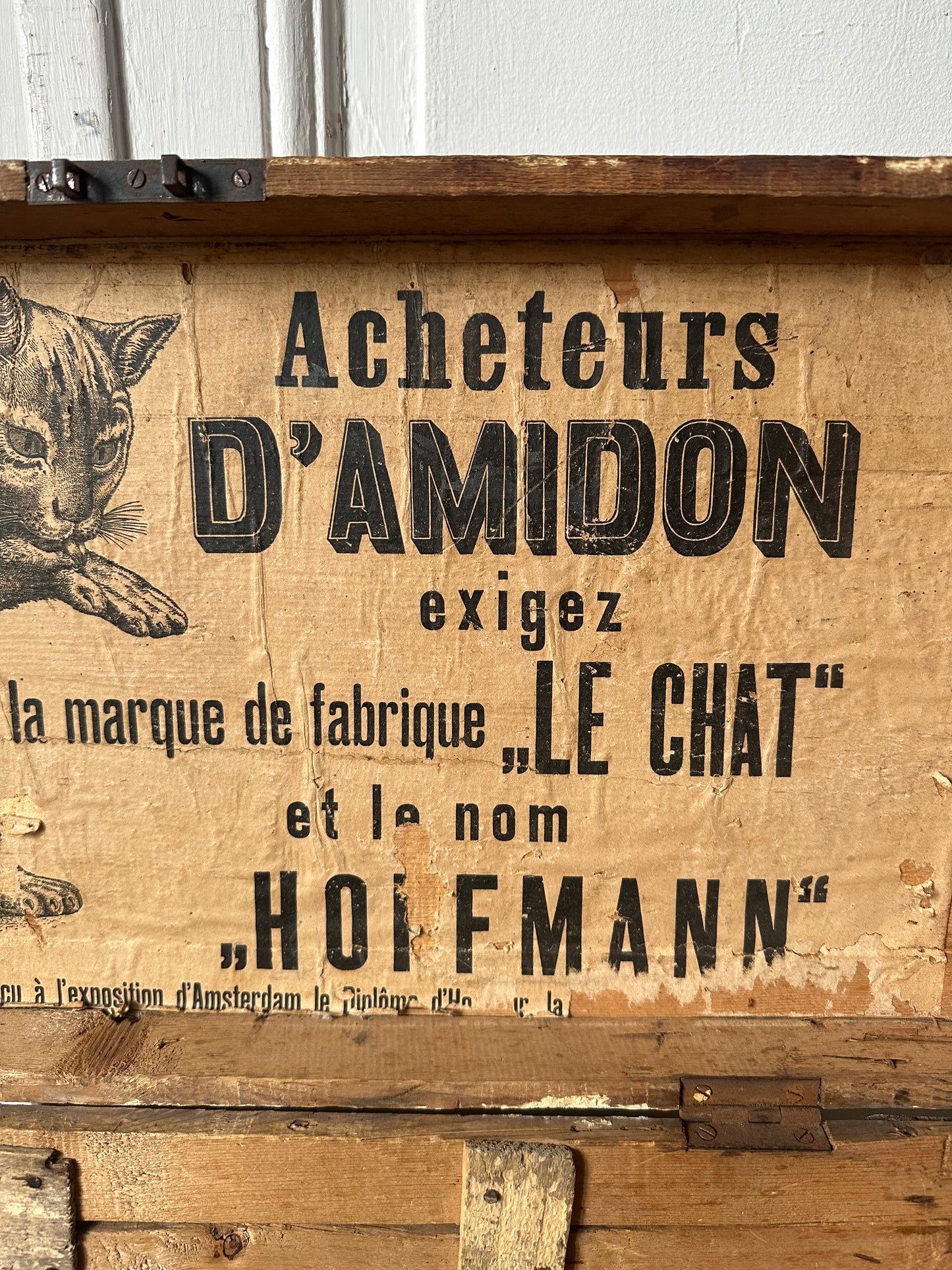 Le chat