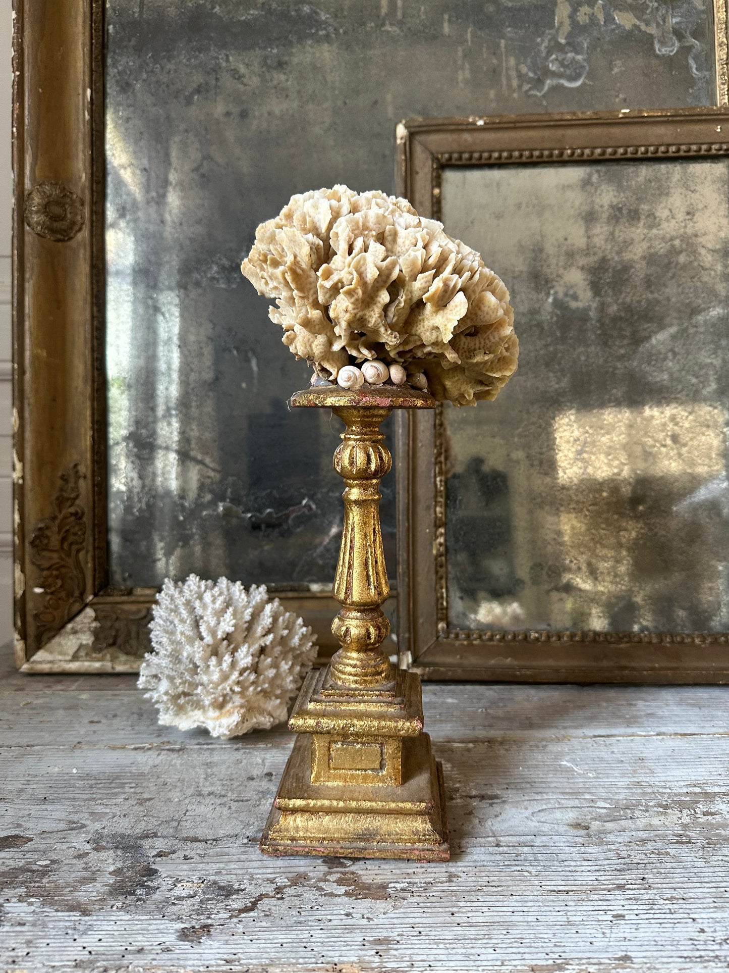 Corail beige