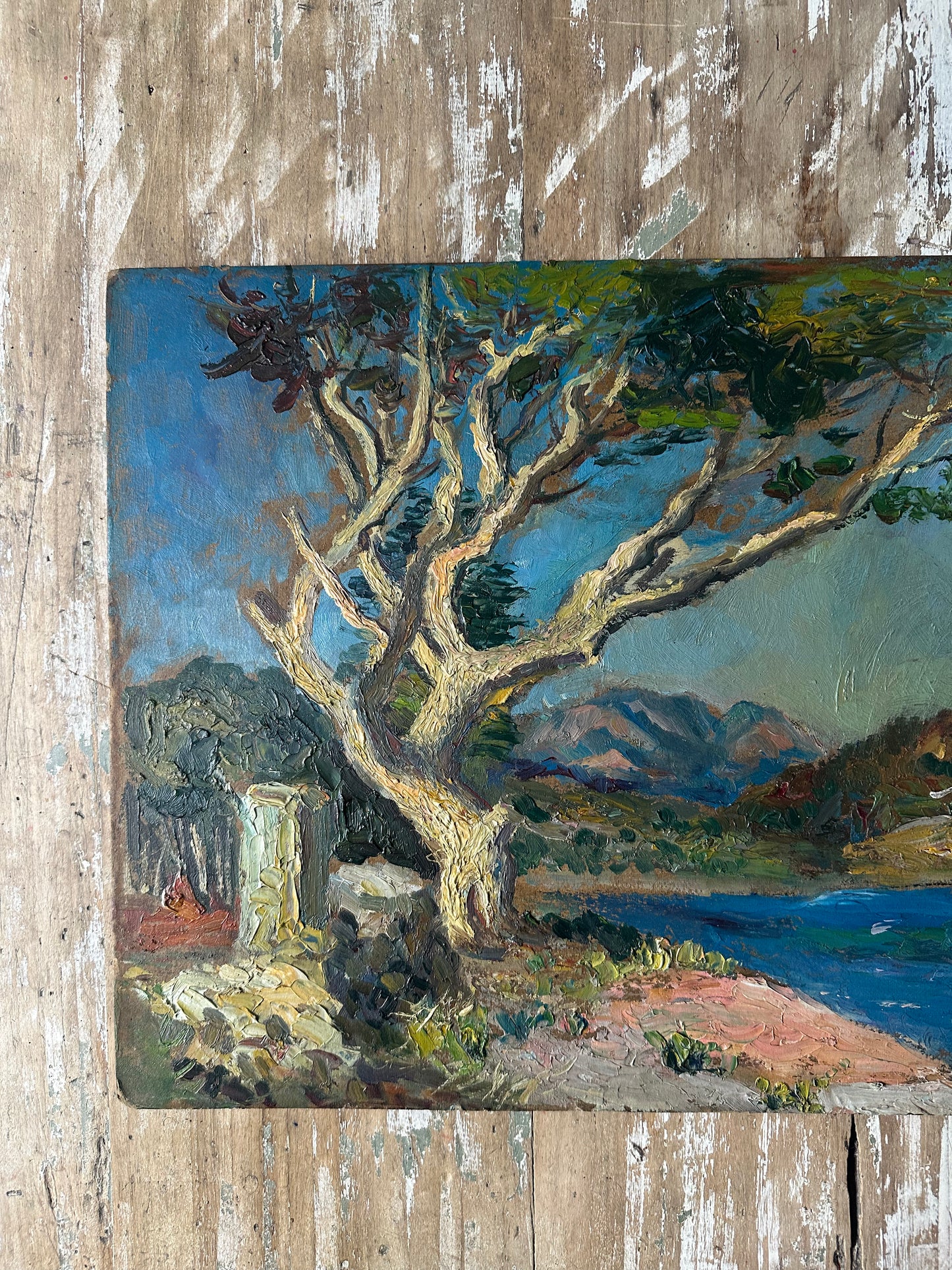 Méditerranée