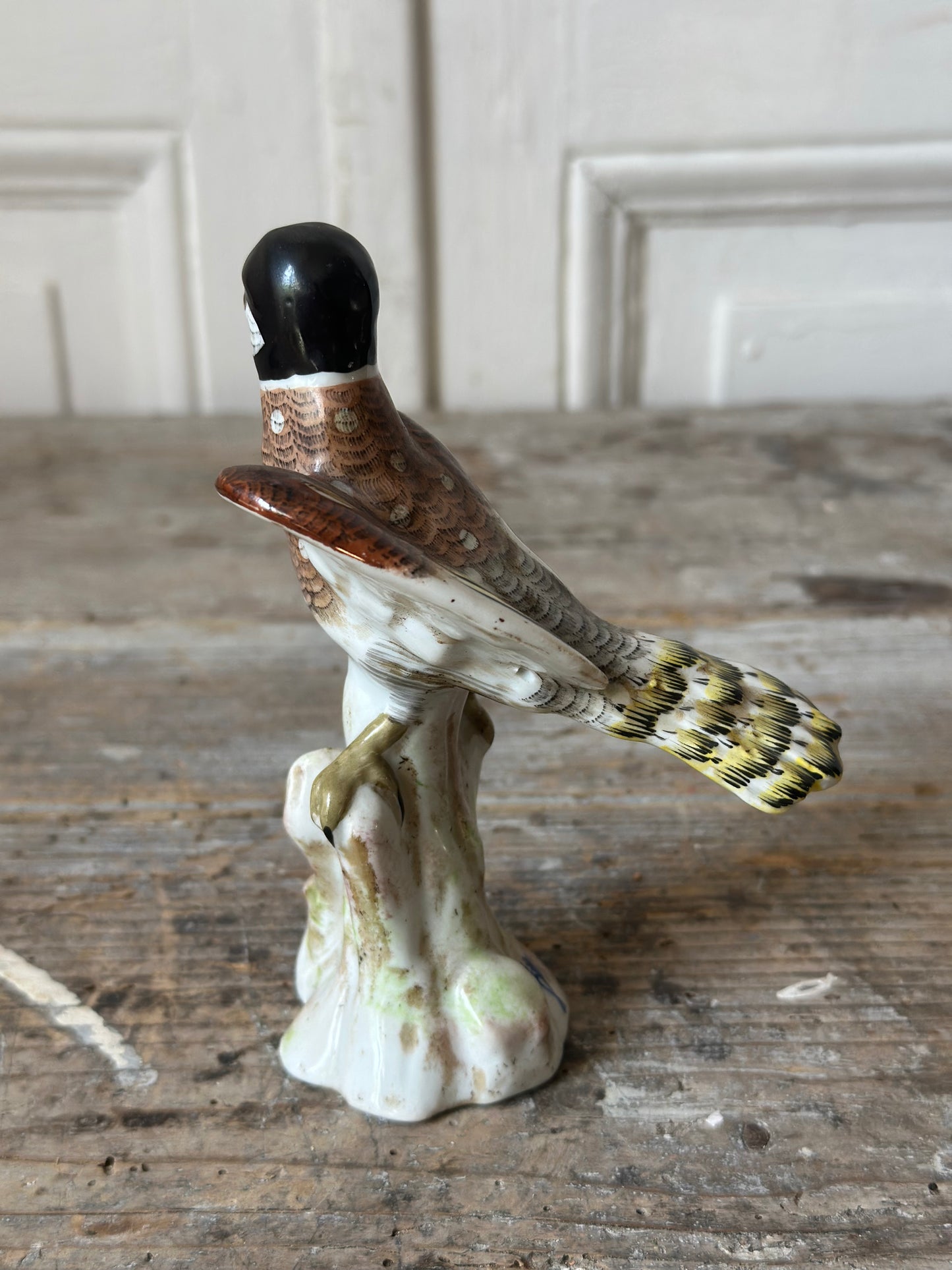 L’oiseau à tête noire