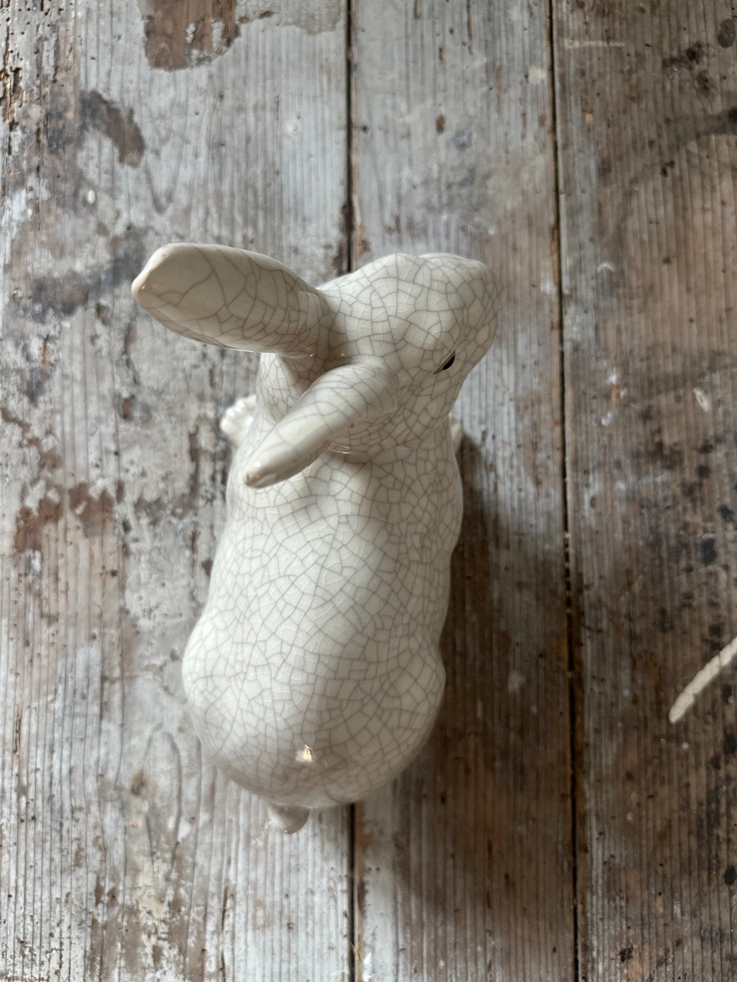 Grand lapin