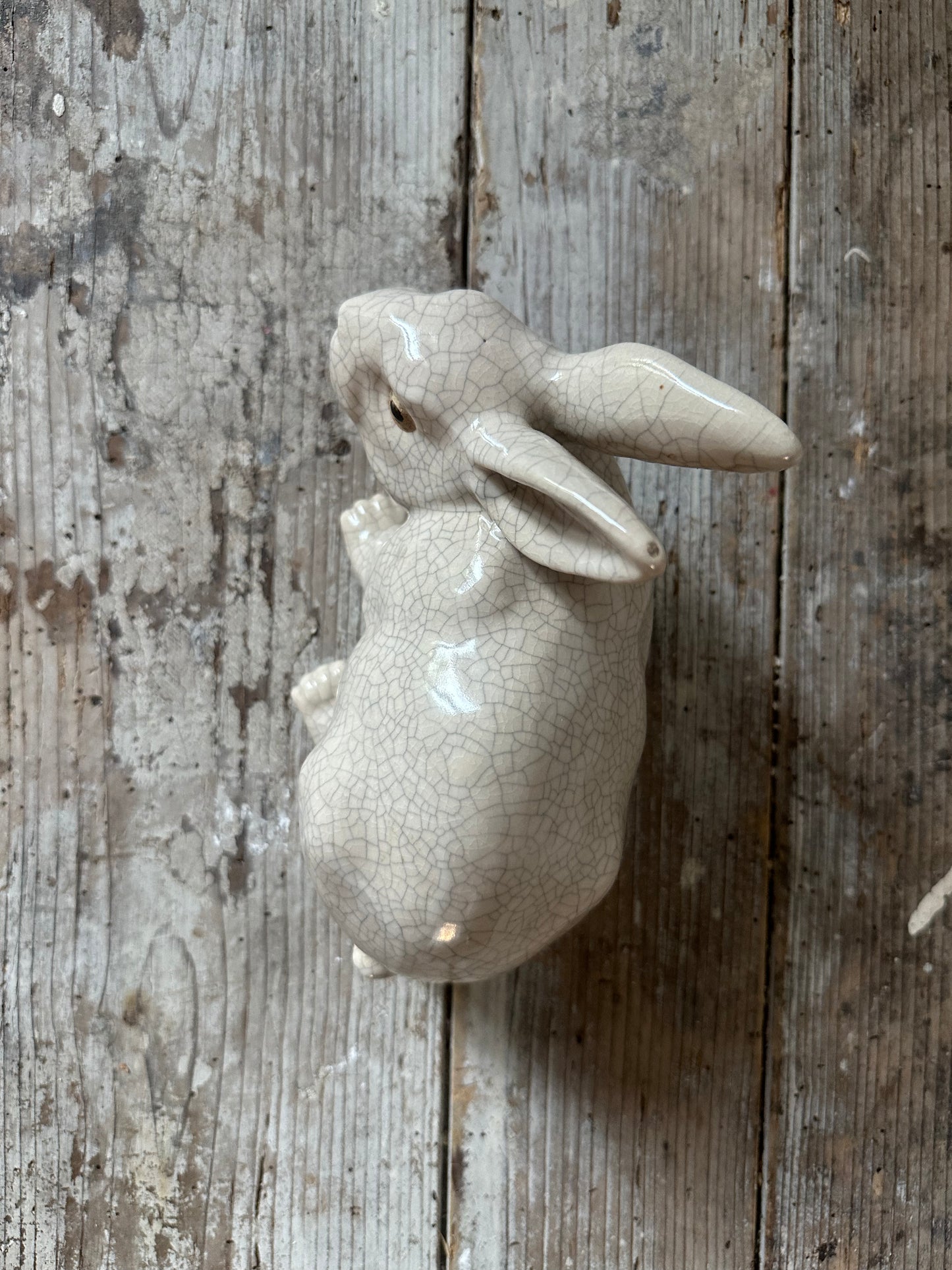 Lapin