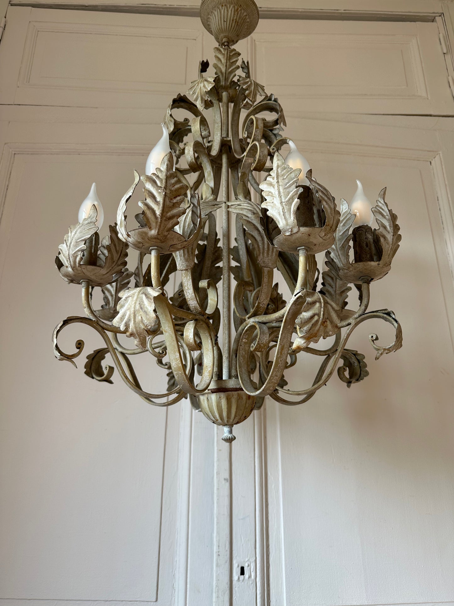Volutes et feuillages