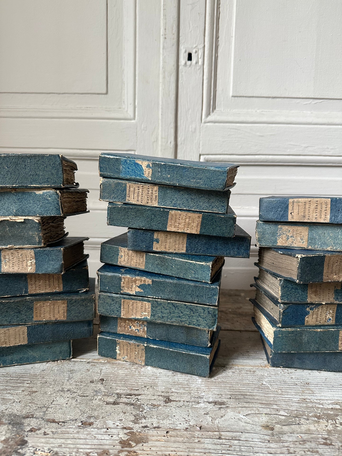 Livres bleus