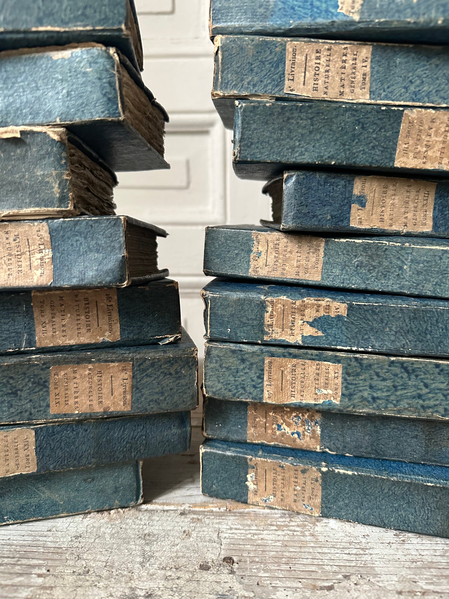 Livres bleus