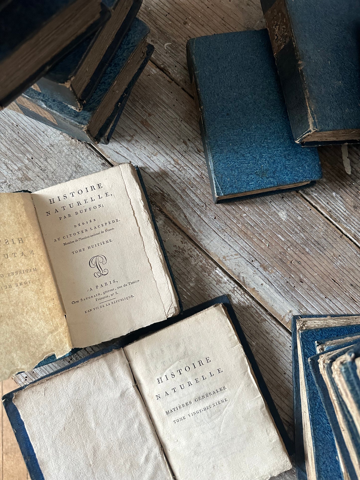 Livres bleus