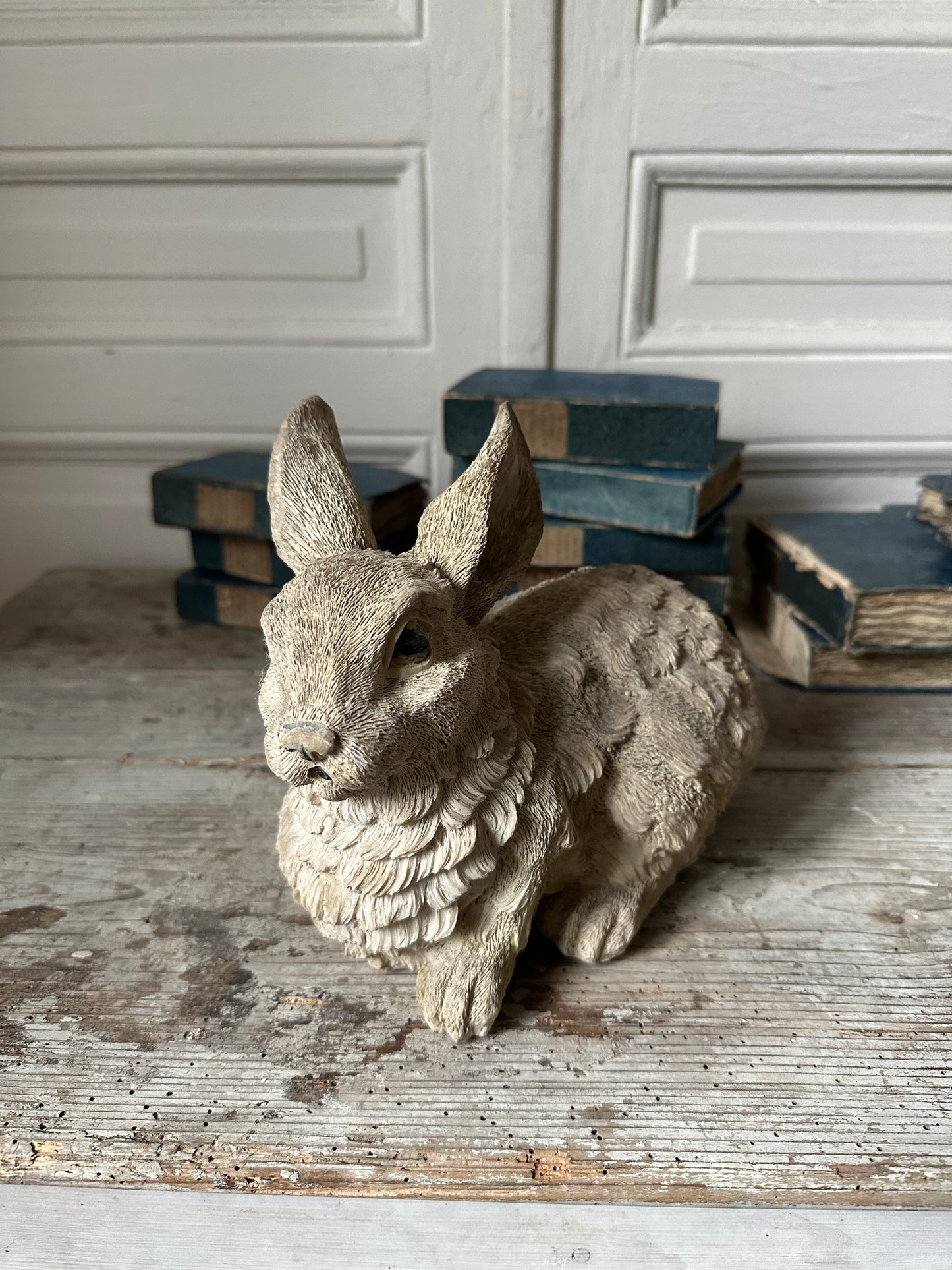 Lapin