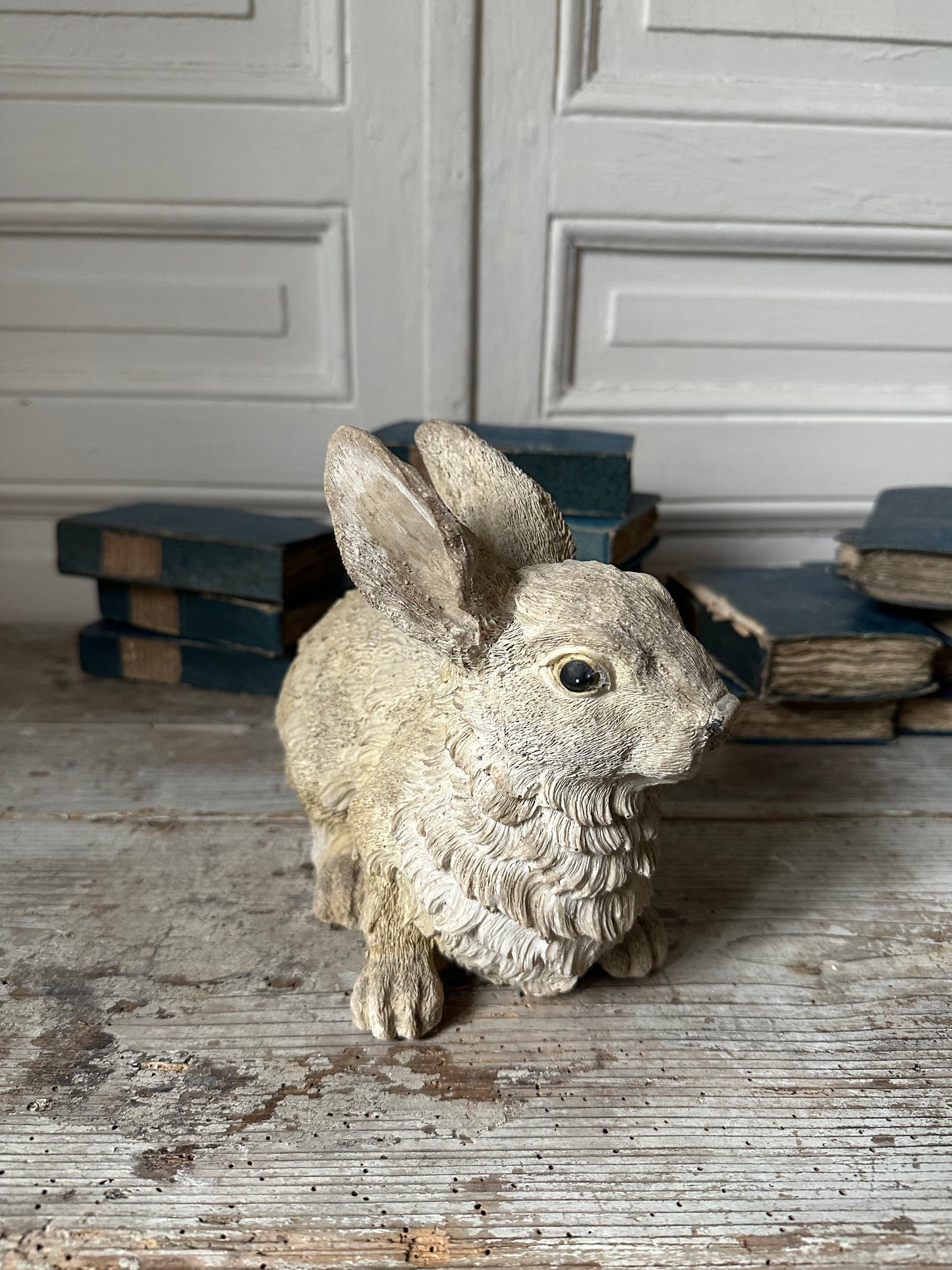 Lapin