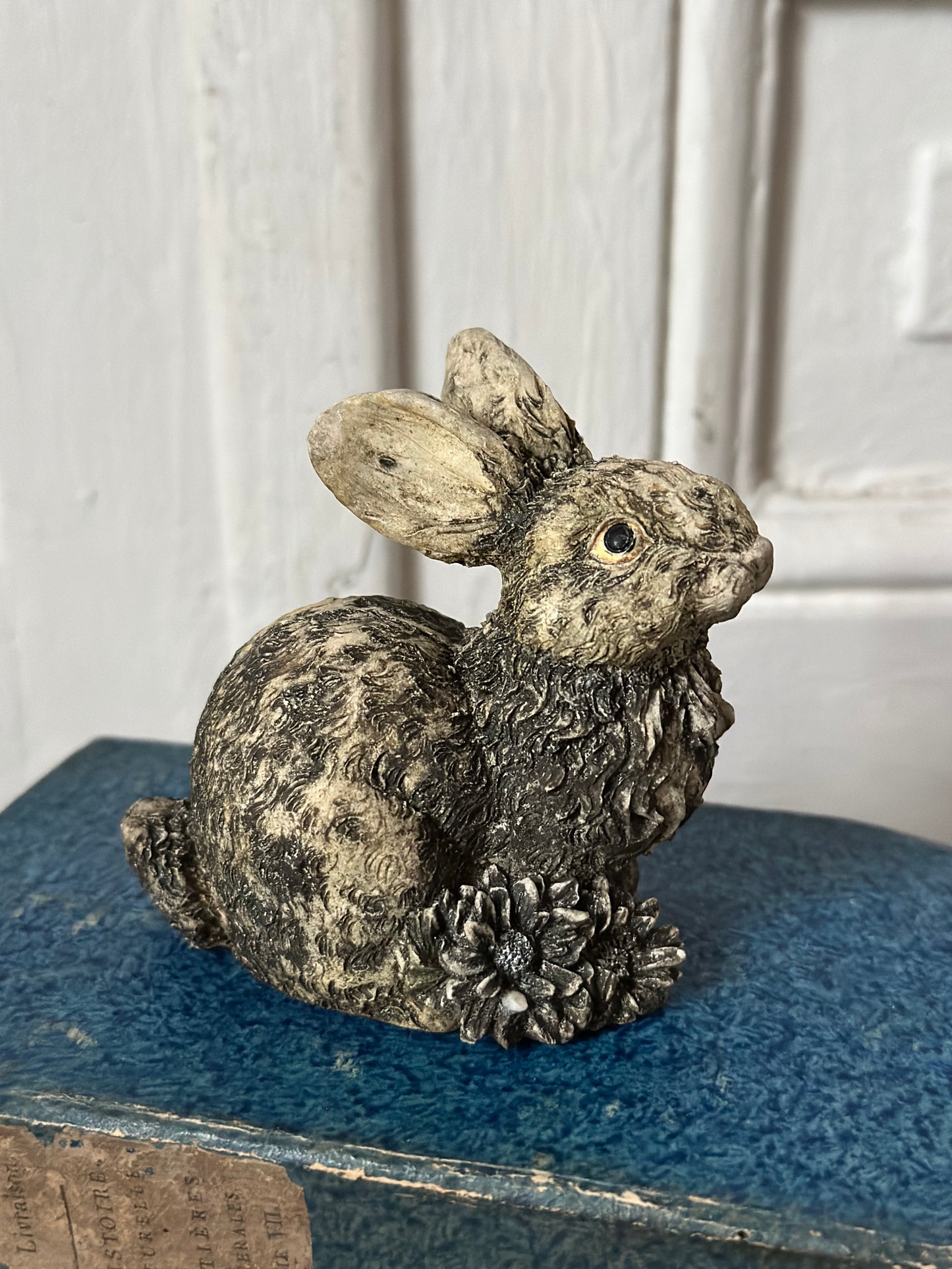 Petit lapin