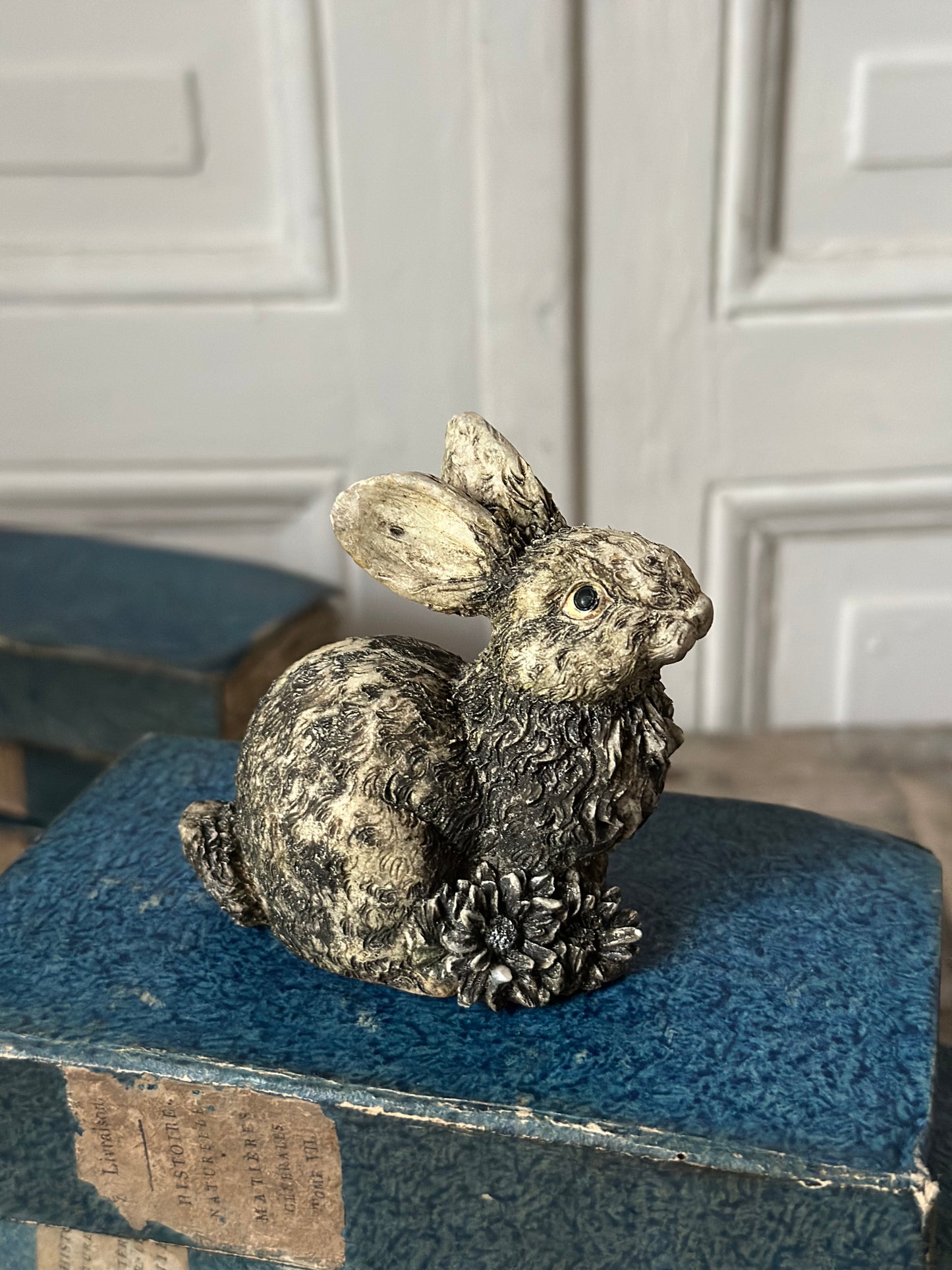 Petit lapin