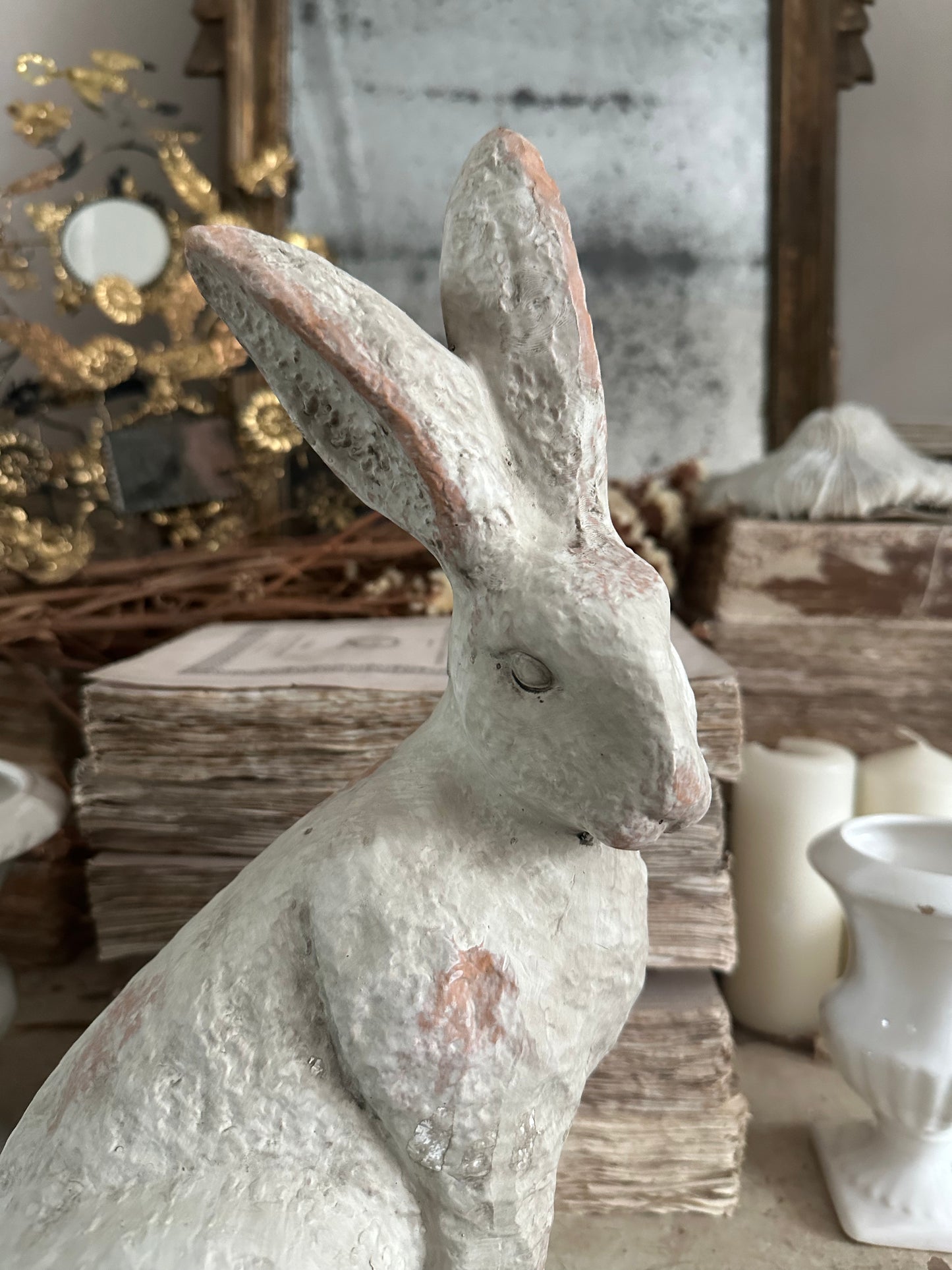 Lapin
