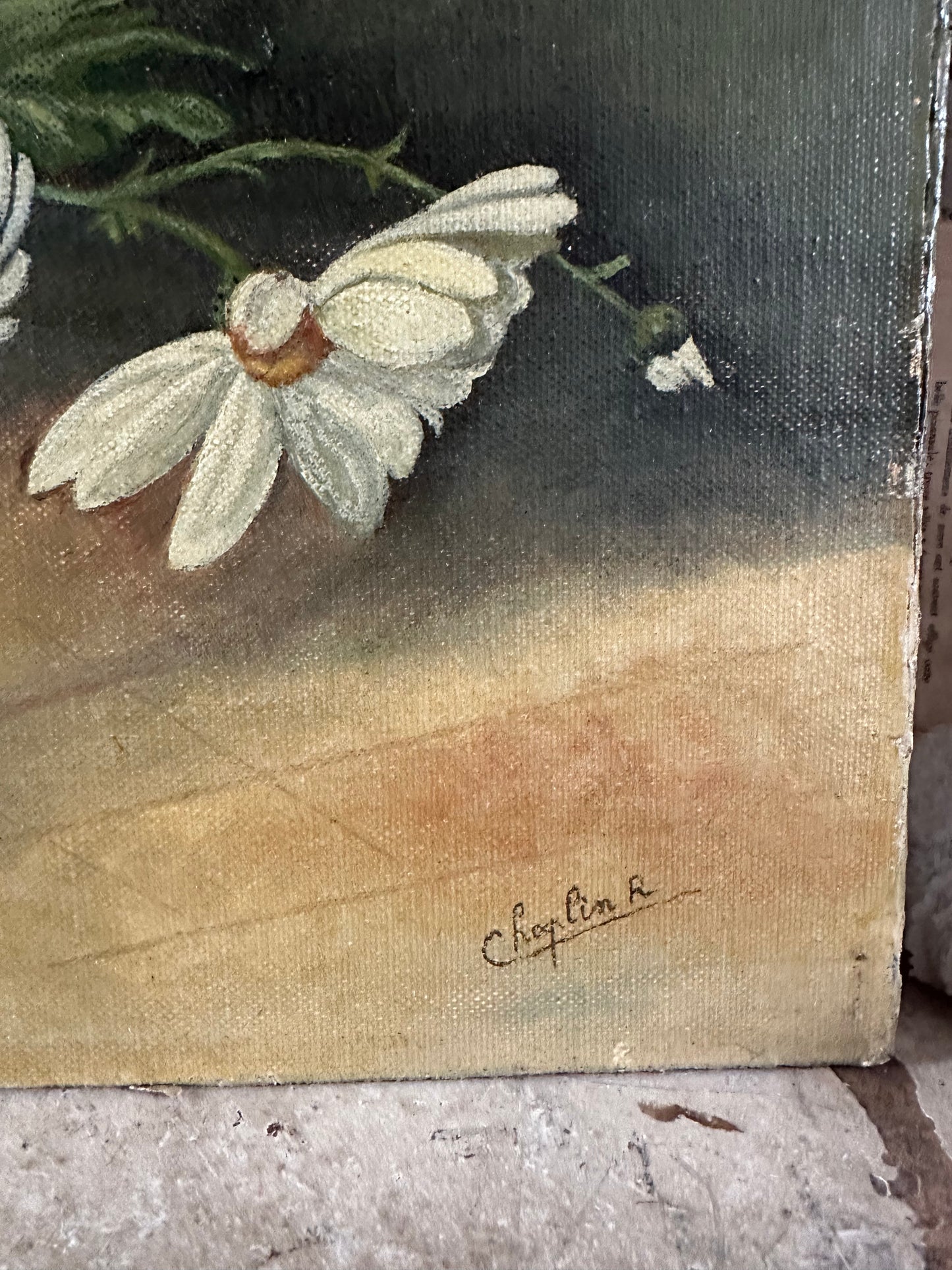 Marguerites