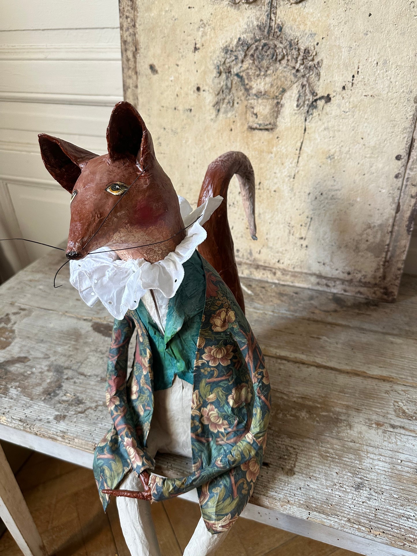 Renard dandy