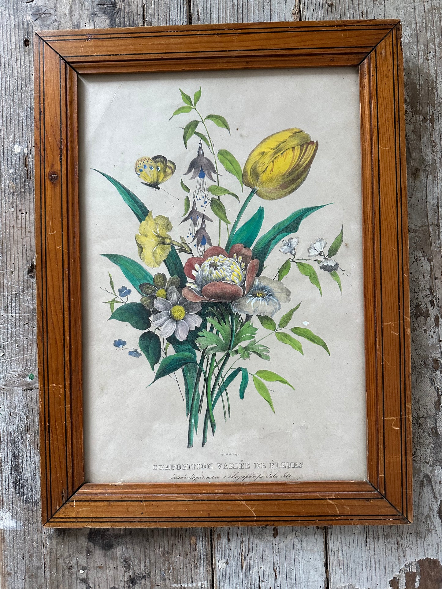 Composition variée de fleurs