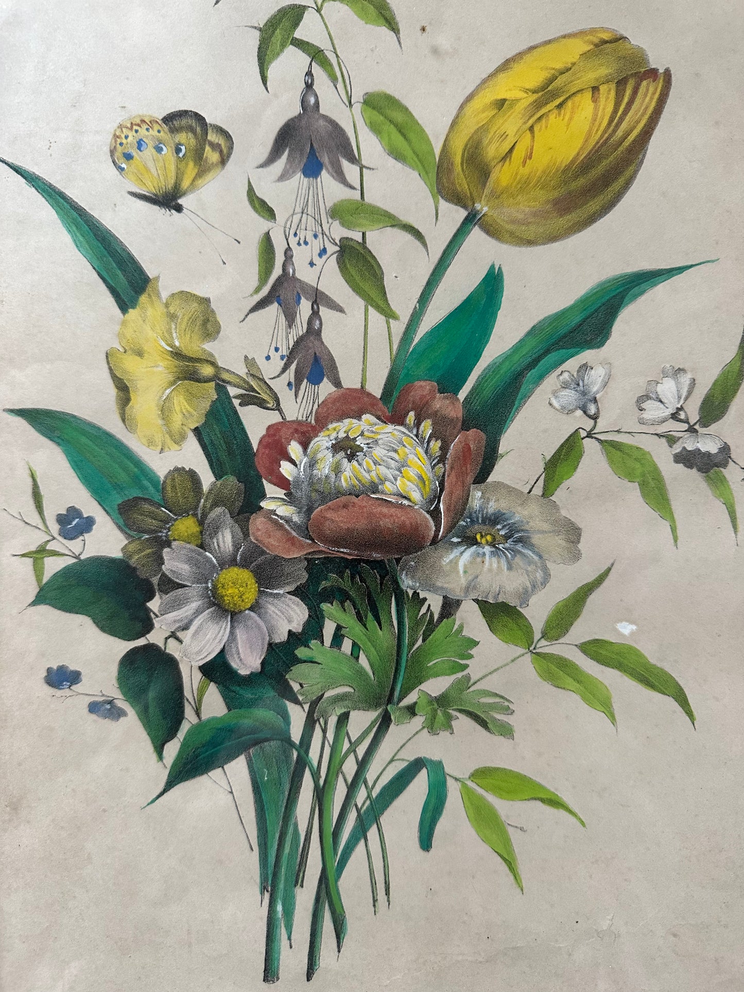 Composition variée de fleurs