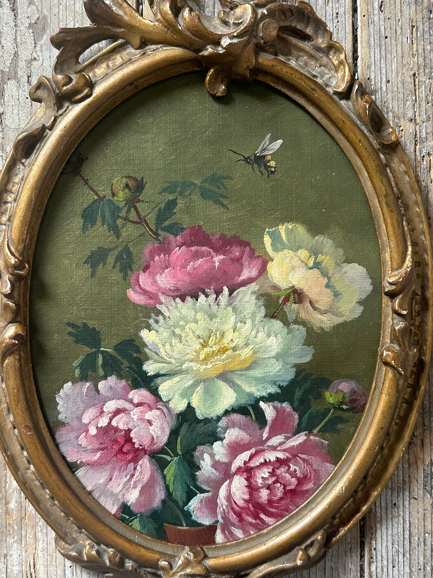 Le bourdon dans les pivoines