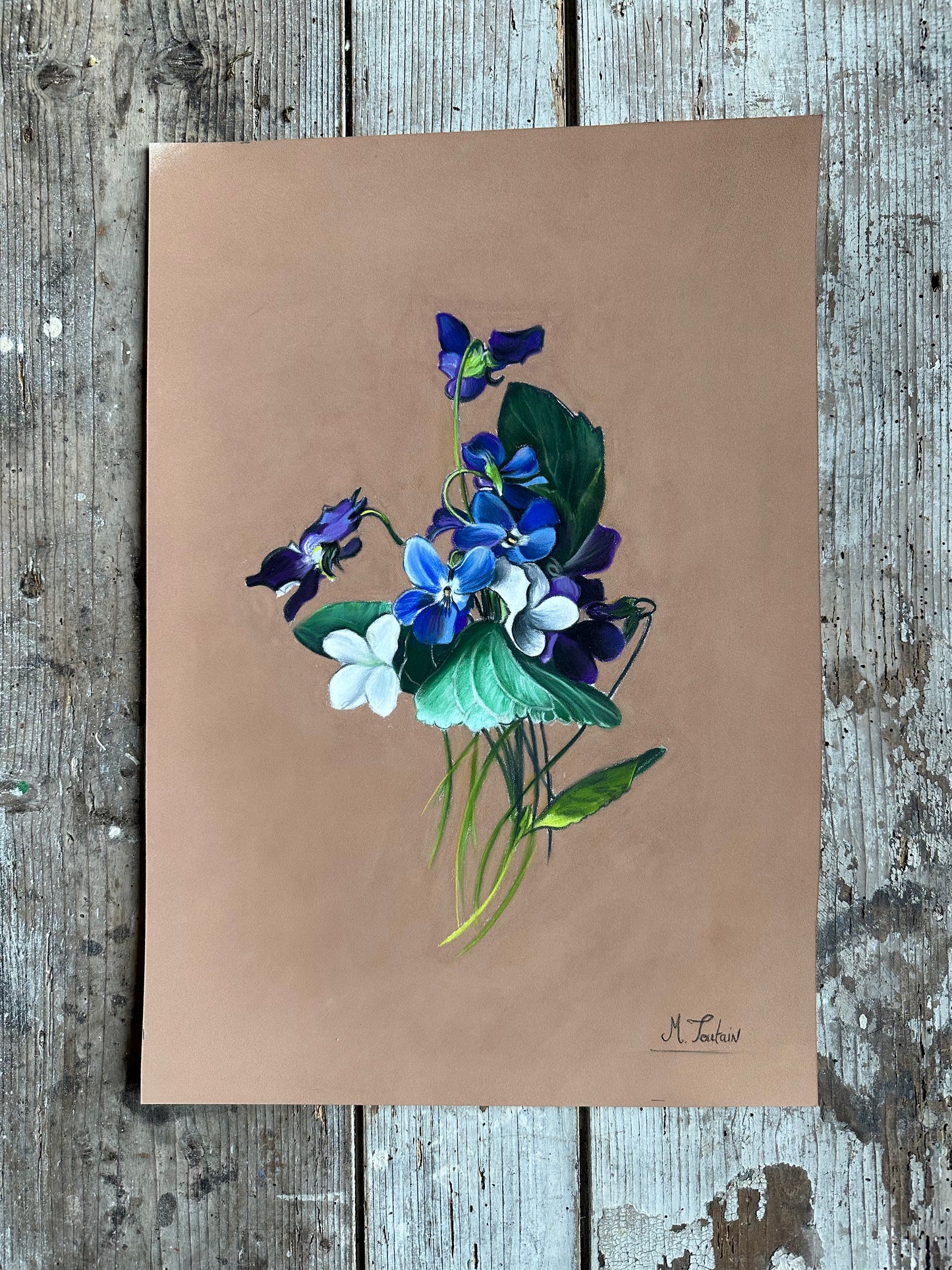 Les violettes