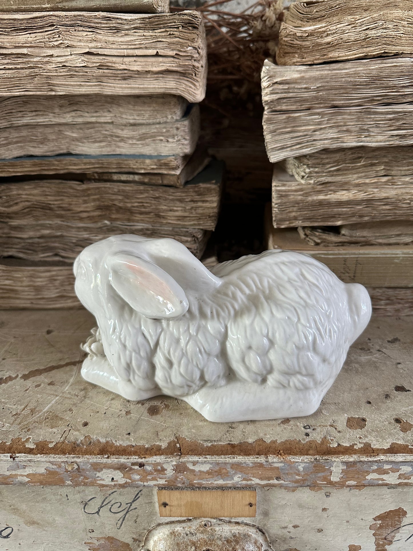 Lapin